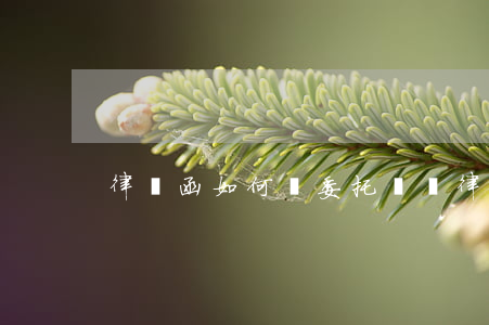 律師函如何寫委托書(請律師委托書怎么寫)
