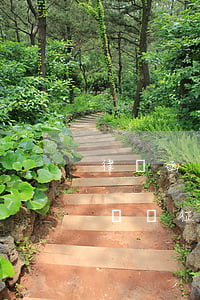 律師函對(duì)個(gè)人征信有影響嗎(征信有問(wèn)題可以當(dāng)律師嗎)