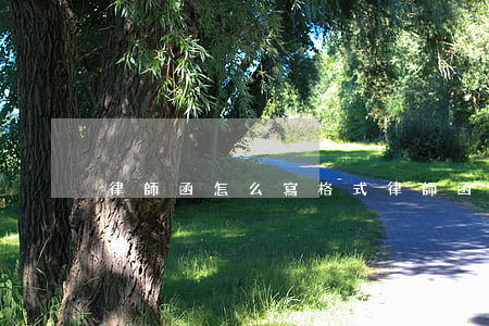 律師函怎么寫格式(律師函內(nèi)容)