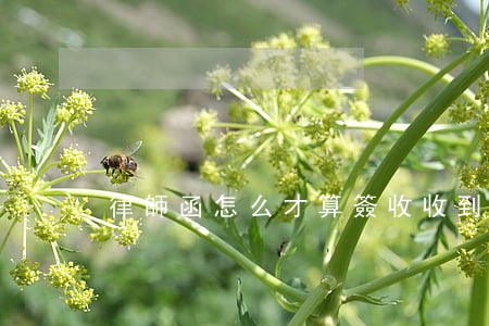 律師函怎么才算簽收(收到律師函要不要簽收)