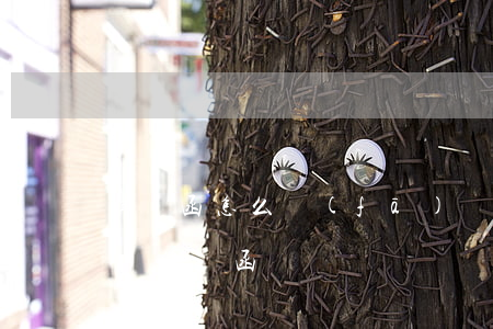 律師函怎么發(fā)給公司(怎樣發(fā)律師函)