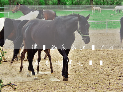 律師函怎么送達(dá)才有法律效力(律師函是法律文書嗎)