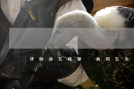 律師函怎樣鑒別真假(怎么識別律師函真假)