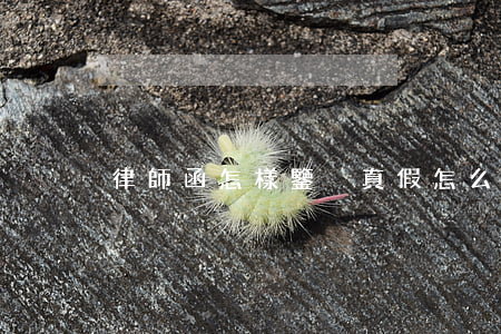 律師函怎樣鑒別真假(怎么辨別律師函的真假)