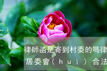 律師函是寄到村委的嗎(律師函發(fā)到居委會(huì)合法嗎)