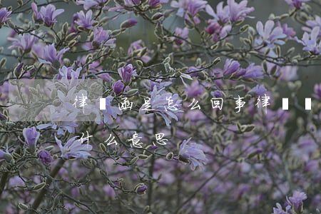 律師函是怎么回事(律師發(fā)律師函是什么意思)