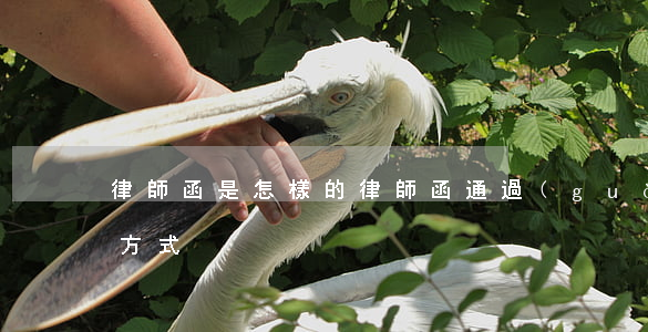 律師函是怎樣的(律師函通過(guò)什么方式)