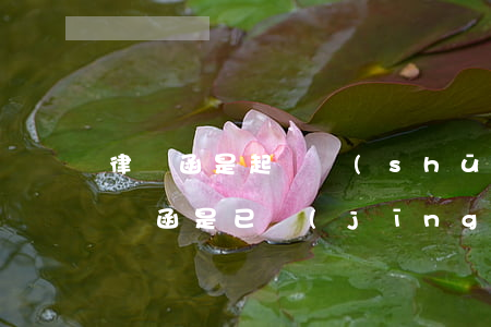 律師函是起訴書(shū)嗎(發(fā)律師函是已經(jīng)起訴了嗎)