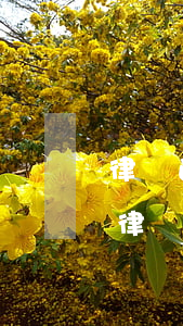 律師函是通過(guò)什么方式通知(收到律師通知函怎么辦)