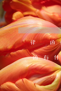 律師函有法律作用嗎(律師發(fā)的律師函有什么用)