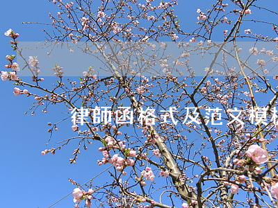 律師函格式及范文模板(律師事務所函范文)