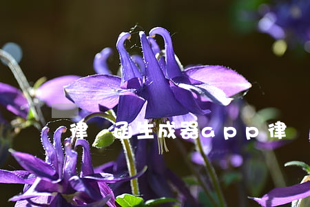 律師函生成器app(律師函生成器app)
