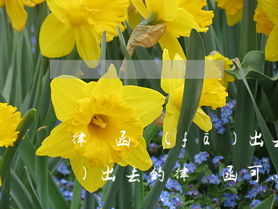 律師函發(fā)出去可以撤回嗎?(發(fā)出去的律師函可以撤回嘛)