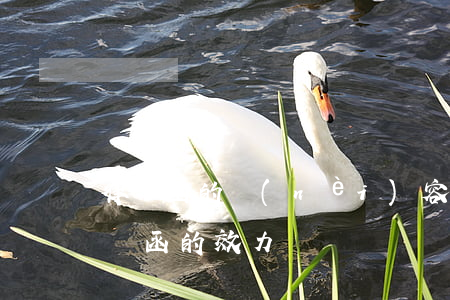 律師函的內(nèi)容有法律約束力嗎(律師函的效力)