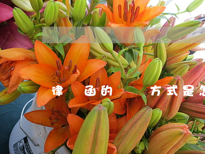 律師函的書寫方式是怎樣的