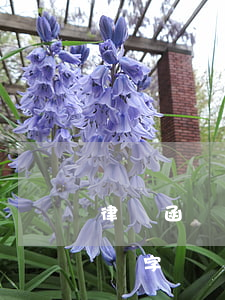 律師函簽字了代表什么(律師函是否需要律師簽字)