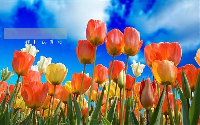 律師函英文
