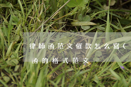律師函范文催款怎么寫(xiě)(催款律師函的格式范文)