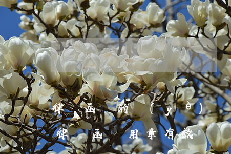 律師函蓋的業(yè)務(wù)章有效嗎(律師函專用章有效嗎)