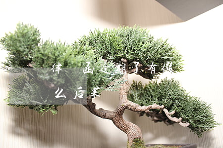 律師函逾期了有假嗎(逾期后收到律師函有什么后果)