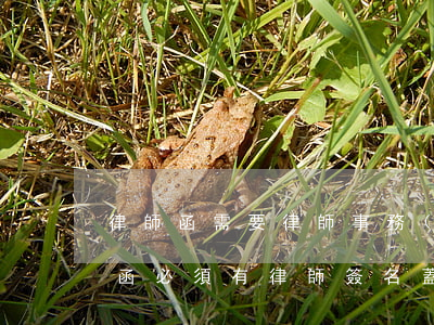 律師函需要律師事務(wù)所蓋章嗎(律師函必須有律師簽名蓋章嗎)