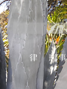 律師刑事案件收費(律師刑事案件收費)