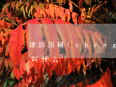 律師別稱(chēng)叫什么(律師別名又叫什么)
