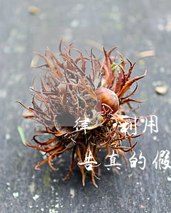 律師利用貸款逾期詐騙(金融貸款逾期律師通告真的假的)