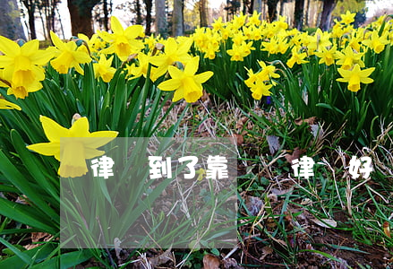 律師到了靠譜嗎(律師好嗎?)