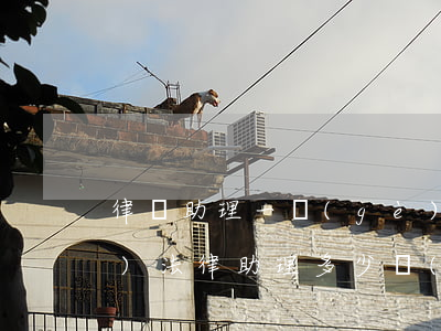律師助理一個(gè)月多少錢(qián)(法律助理多少錢(qián)一個(gè)月)