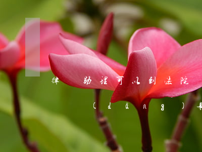律師助理可以到法院閱卷嗎(律師閱卷后可以給當(dāng)事人看嗎)