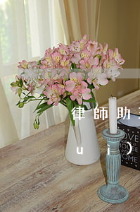 律師助理可以去法院立案嗎(法官助理對(duì)做律師有沒有幫助)