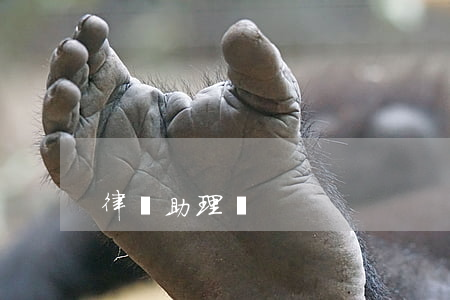 律師助理證