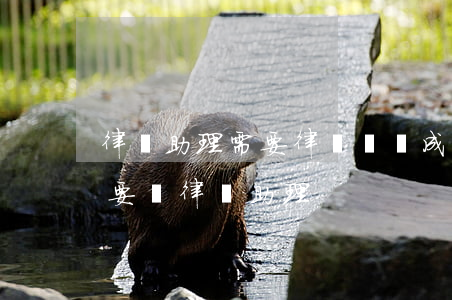 律師助理需要律師證嗎(成為律師之前是不是要當律師助理)