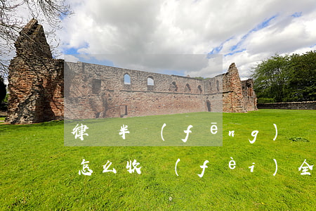律師半風(fēng)險(xiǎn)代理怎么收費(fèi)(全風(fēng)險(xiǎn)代理律師收費(fèi)標(biāo)準(zhǔn))