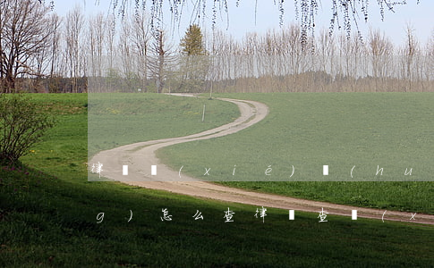 律師協(xié)會(huì)網(wǎng)怎么查律師(查詢(xún)律師的網(wǎng)站)