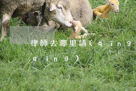 律師去哪里請(qǐng)(律師去哪里請(qǐng))