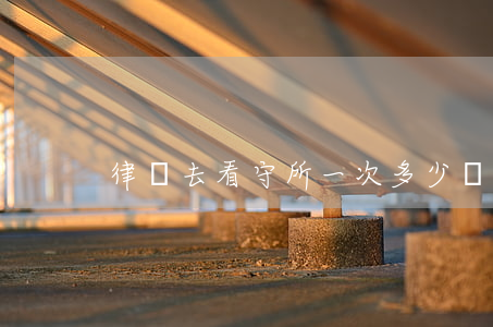 律師去看守所一次多少錢