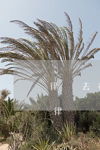 律師去看守所一次多少錢(看守所多久可以找律師)
