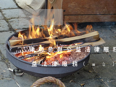 律師參與公益法律服務(wù)(律師參與公益法律服務(wù)的意見)
