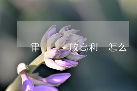 律師參與放高利貸怎么處理(放高利貸怎么處罰)