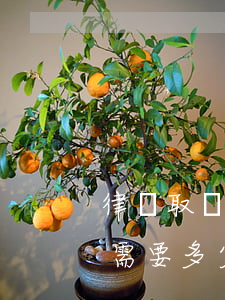 律師取證怎么收費(fèi)誰出(律師取證需要多少費(fèi)用)
