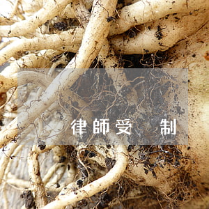 律師受強制