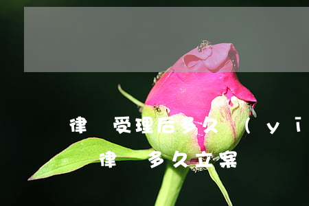 律師受理后多久應(yīng)立案(案件交給律師多久立案)
