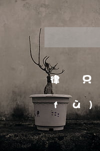 律師只負(fù)責(zé)打官司不負(fù)責(zé)執(zhí)行嗎(律師打官司負(fù)責(zé)強(qiáng)制執(zhí)行嗎)