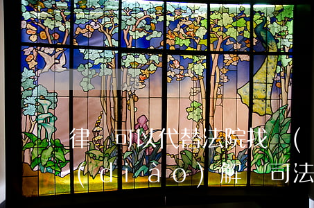 律師可以代替法院找當(dāng)事人調(diào)解嗎(司法調(diào)解需要律師嗎)
