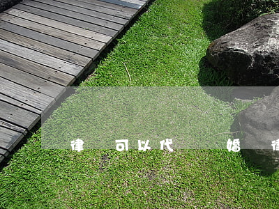 律師可以代辦離婚嗎(律師可以代辦離婚嗎起訴)