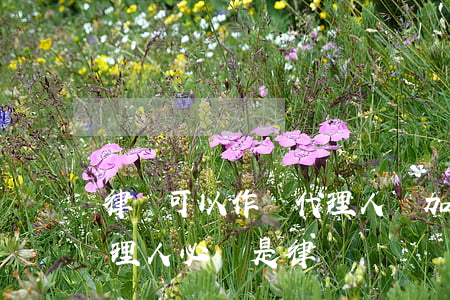律師可以作為代理人參加訴訟嗎(起訴委托代理人必須是律師嗎)