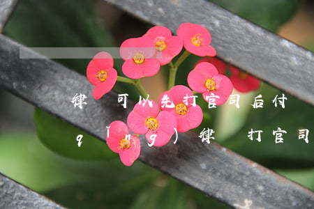 律師可以先打官司后付費(fèi)嗎(請(qǐng)律師打官司先付費(fèi)還是后付費(fèi))