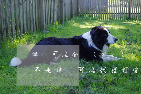 律師可以全權(quán)代理去打官司嗎(不是律師可以代理打官司嗎)